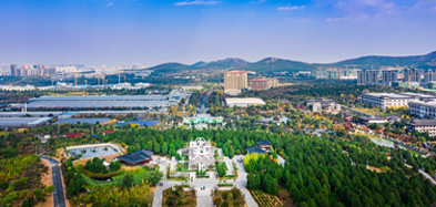 九游(中国)产业