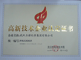 武汉九游(中国)荣获高新技术企业