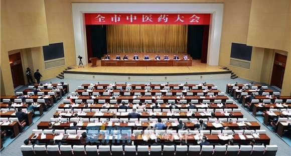 宏济堂制药在济南市中医药大会上作典型交流发言